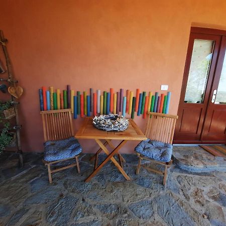 Apartma Villa Cedole Chabby Chick Piran Exteriér fotografie