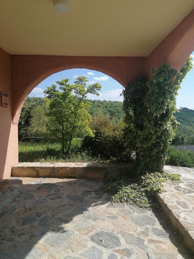 Apartma Villa Cedole Chabby Chick Piran Exteriér fotografie