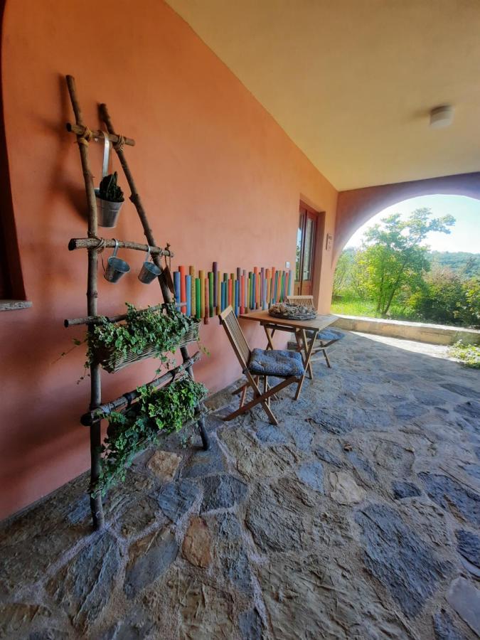 Apartma Villa Cedole Chabby Chick Piran Exteriér fotografie