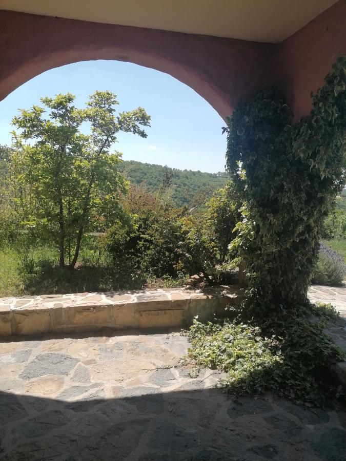 Apartma Villa Cedole Chabby Chick Piran Exteriér fotografie